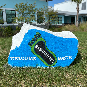 paint the rock (3)